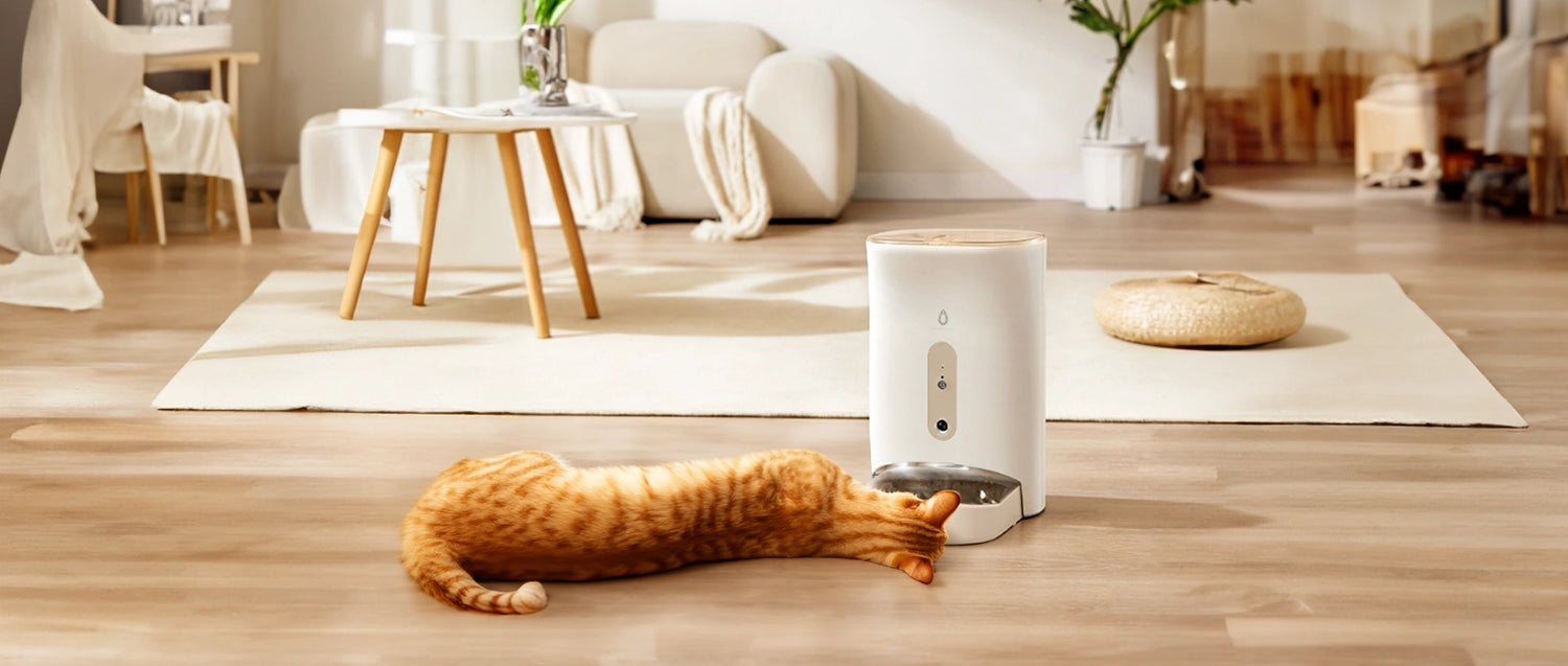 Automatische voerbak met kat in woonkamer