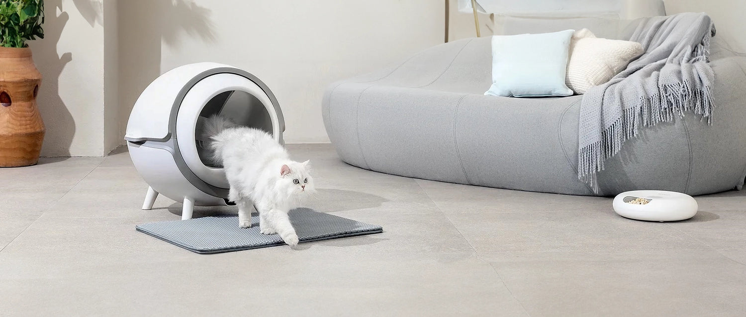 Een kat gebruikt een zelfreinigende kattenbak en een automatische voerbak.