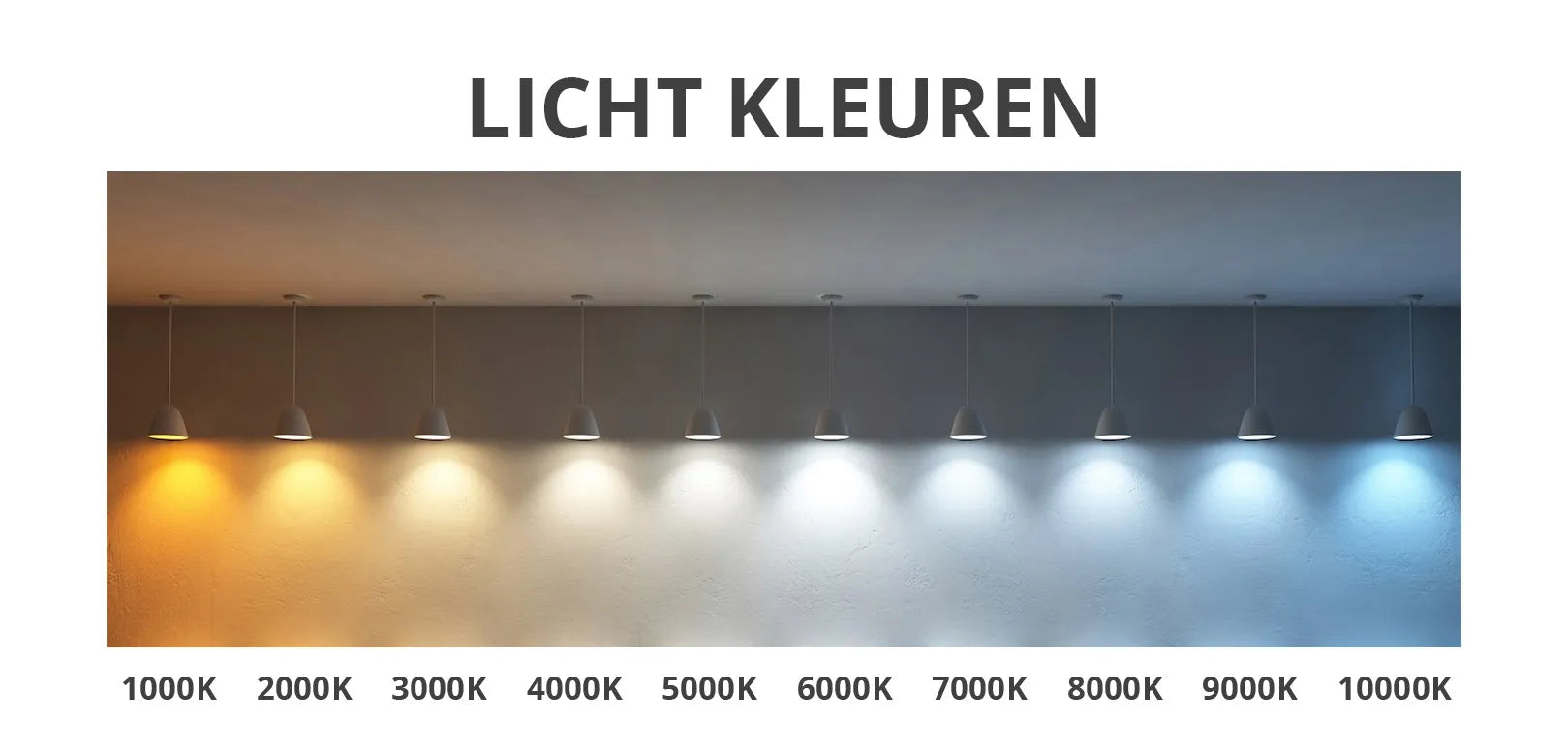 Spiegel mit LED halboval 50 x 100 cm